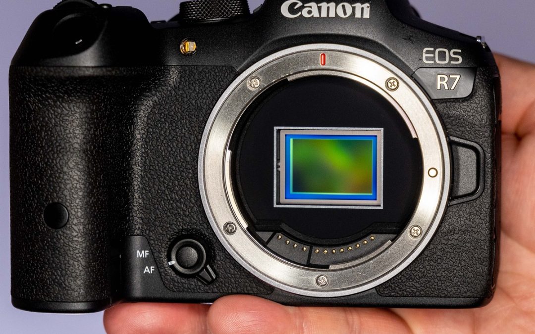 Canon EOS R7 Initial Review